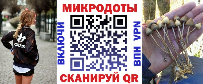 Псилоцибиновые грибы мицелий  Сланцы 